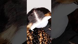 30” Blonde Highlight Wig Install 🔥 wigs hairtutorial wiginstall hdlace shorts lacewigs wig [upl. by Juliet184]