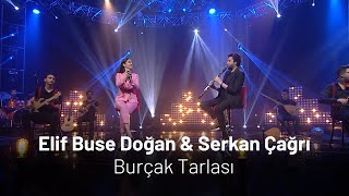 Elif Buse Doğan amp Serkan Çağrı  Burçak Tarlası [upl. by Joline196]