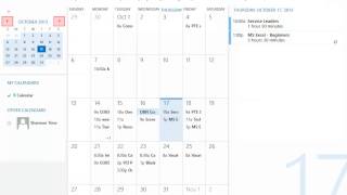 Office 365 Calendar  Views [upl. by Aihseuqram186]