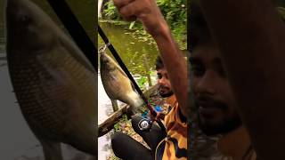 The SHOCKING Truth About Hook Fishing fishing hookfishing [upl. by Khalin980]