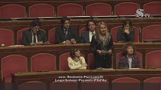 La Senatrice Pucciarelli in seguito a informativa del Ministro Piantedosi su fatti di Pisa e Firenze [upl. by Airamzul826]