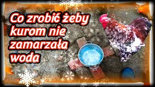 kurnik 🐓🦆🦃 Sposób na zamarzającą wodę u kur [upl. by Tirzah]