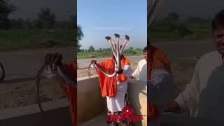 Three head snake mai bhakt tumari hu bhakti short video viralshorts varaha bhaja [upl. by Nohcim814]