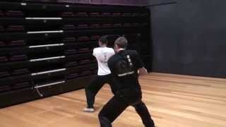 LIU HE TANG LANG DUAN CHUI SHORT HAMMER FIST [upl. by Abdu]