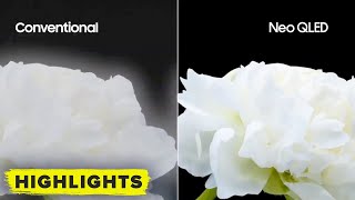 Mini LED vs ULED vs Neo QLED  How To Spot The Difference [upl. by Grenier127]