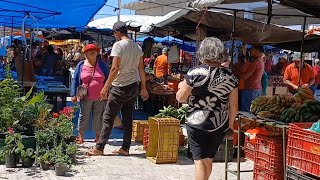 Feira livre na cidade de carnaubal Ceará dia 151124 [upl. by Volpe]