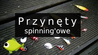 Przynęty spinningowe rzeka Brda [upl. by Binny]