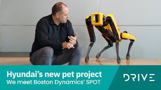 Boston Dynamics’ SPOT Is A Window Into Our Robotic Future  Drivecomau [upl. by Normalie121]