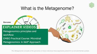 Metagenomics principles and workflow [upl. by Upshaw49]