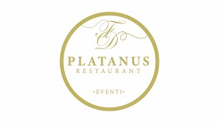 SPOT  PLATANUS Restaurant Eventi By Enzo De Vito [upl. by Nerol]