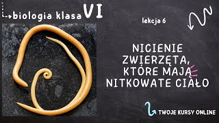 Biologia klasa 6 Lekcja 6  Nicienie  zwierzęta które mają nitkowate ciało [upl. by Aikim809]