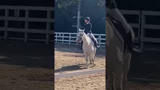 Preliminary Dressage Test 1 2013 with Rory❤️ [upl. by Emsmus]