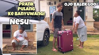 PRANK MAS TONI ‼️Pamit pulang Ke Banyuwangi Ojo Balek Loo [upl. by Haimes]