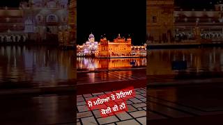 The Golden Temple  A Marvel of Humanity  Harmandar Sahib shorts short viralshorts ytshorts [upl. by Imelda]