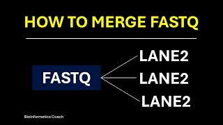 Merge Multi Lane FastQ files  Paired End Reads [upl. by Racklin76]