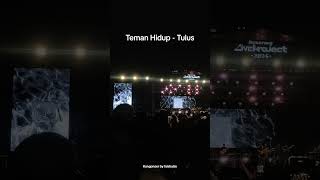 Teman Hidup  Tulus temanhidup tulus temanhiduptulus [upl. by Gebler878]