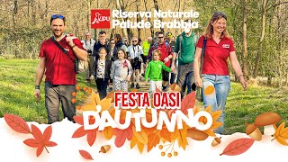 Festa dAutunno 2024  Riserva Naturale Palude Brabbia [upl. by Ardnuhsal321]