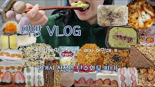 먹방VLOG만칼로리 전 위장늘리기떡볶이로 시작과 끝을 장식하는 탄수화물파티바질크림떡볶이탕후루케이크과일산도과일찹쌀떡뭉개뭉계란까르보불닭말렌카꿀케이크크림떡볶이타코야끼 [upl. by Kloman494]