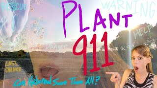 PLANT 911 SAVED from CONSTRUCTION site RESCUE 🚑EMERGENCY TRANSPLANT 🌻How To Level EASY🪴 garden [upl. by Rintoul554]