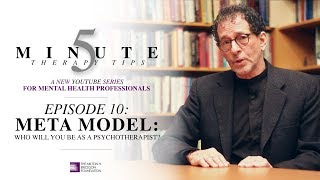 5 Minute Therapy Tips  Episode 10 Meta Model  Who Will You Be As A Psychotherapist [upl. by Llekcm333]