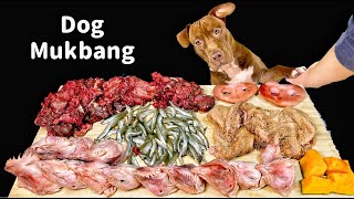 Best Dog MUKBANG PITBULL EATING RAW FOODS [upl. by Cormack]