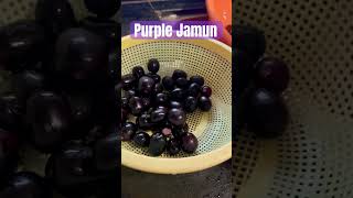 Purple jamun purple jamun fruit fruitlovers subscribe [upl. by Decker]