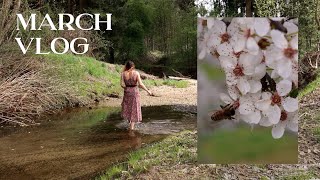 welcoming spring and the first blossoms  trying on my new linen dress  Vlog [upl. by Bilat]