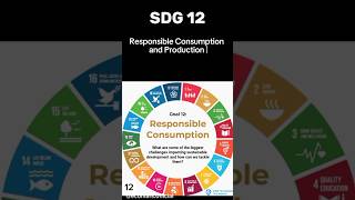 UN SDGs Global Goals sdg12 Ensure sustainable consumption and production patterns sustainability [upl. by Yup886]