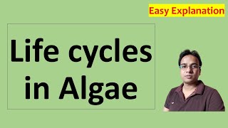 शैवालों का जीवन चक्र । Life cycles in Algae  Alternation of Generation  Algae Notes । bsc 1st year [upl. by Eintirb]