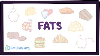 Fats [upl. by Yraeg]