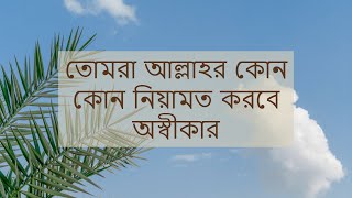 Bangla Islamic Song  Tumra Allahr Kun Kun Niyamat Korbe Oshikar  তোমরা আল্লাহর কোন কোন নিয়ামত [upl. by Nnylyak]