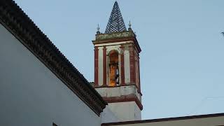 Volteo en el campanario de San Julián en Sevilla [upl. by Harcourt727]