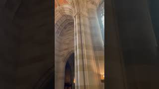 Yale University’s Library Entrance [upl. by Eirotal]