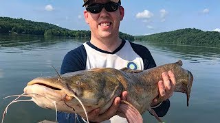 How to Catch and Cook Catfish Catfishing tips tricks and recipes [upl. by Eustache601]