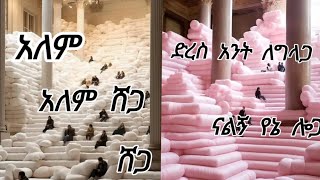 Haleluya Tekletsadik Alem shegga lyrics   ሀሌሉያ ተክለፃዲቅ © Owner Haleluya tekletsadik2023 [upl. by Sioux]