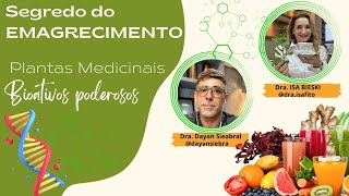 Como Emagrecer com a Fitoterapia Integrativa [upl. by Tyson378]