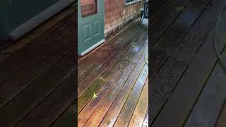 Clean deck VS DIRTY DECK deckcleaning deck deckmaintenance [upl. by Yemaj]