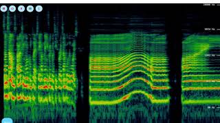 Spectrogram tutorial [upl. by Hi1]