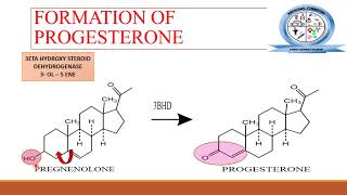 BIOSYNTHESIS OF STEROID HORMONES  Steroids  MEDICINAL CHEMISTRY [upl. by Meagan50]