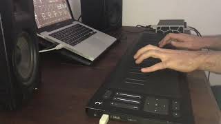 ROLI Seaboard RISE quotAutumn Leavesquot Acoustic Guitar Preset [upl. by Aicatan]