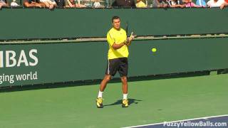 JoWilfried Tsonga Forehands in HD [upl. by Ecnaralc278]