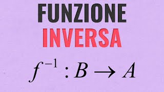 Funzione Inversa  Definizione e Concetti di Funzione Iniettiva Suriettiva e Biunivoca [upl. by Naellij495]