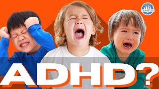 The Hidden Truth About Oppositional Defiant Disorder in Kids [upl. by Aicargatla276]