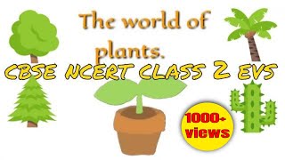 The world of plant  class 2 cbse evs [upl. by Yolanthe572]