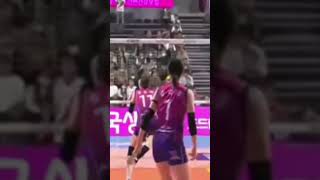 koreavolleyball ligavolikorea [upl. by Aiset]