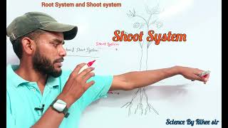 जड़ और प्ररोह प्रणालीRoot system and shoot SystemBy Rikee Sir education [upl. by Inglebert38]