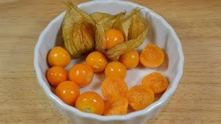 Physalis essen [upl. by Sakovich]