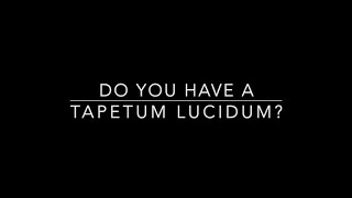 Do You Have A Tapetum lucidum [upl. by Wait]