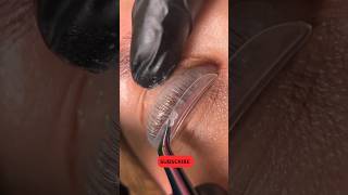 Lash lift tutorial beautiful beauty lashes lashlift shorts youtubeshorts wow [upl. by Chas108]