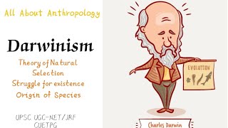 Darwinism Theory of Natural Selection upsc cuetpg ugcnet allaboutanthropology [upl. by Shaia755]